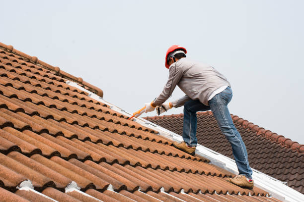 Best Roof Coating and Sealing  in West Canton, NC