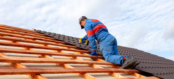 Best Roof Insulation Installation  in West Canton, NC