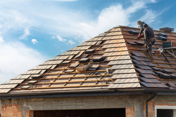 Best Sheet Metal Roofing  in West Canton, NC